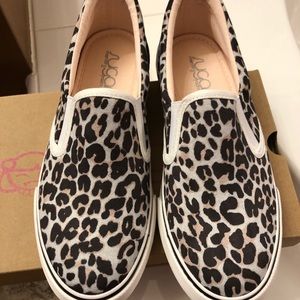 Brand New Leopard Slip on Shoes
